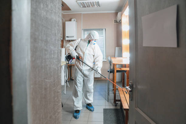 Best Mold Remediation for Rental Properties  in Vista Center, NJ