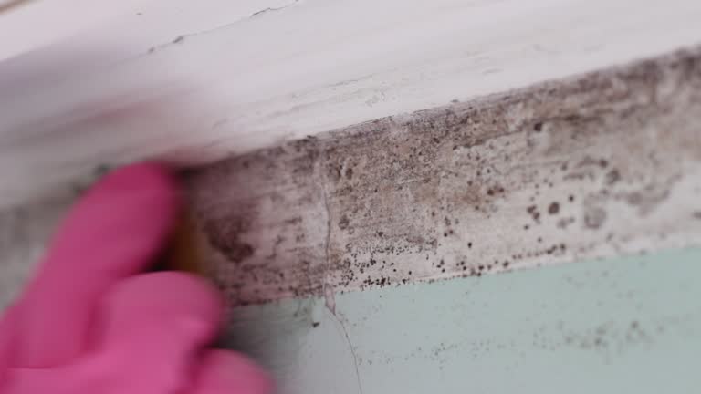 Best Indoor Air Quality Assessment  in Vista Center, NJ